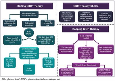 When to Start and Stop Bone-Protecting Medication for Preventing Glucocorticoid-Induced Osteoporosis